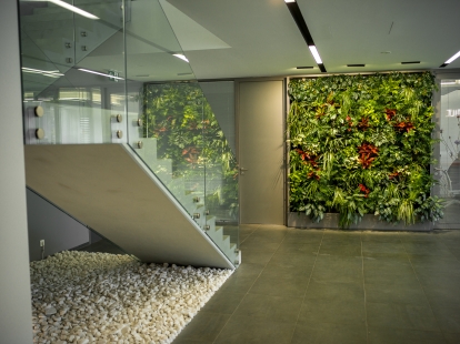 Zelené stěny GreenBo oživí a ozdraví vaše interiéry
