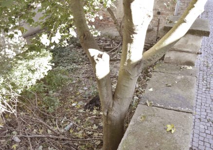 Studentské práce z workshopu v Polici - Andreas Dzikos: Drobné městské intervence