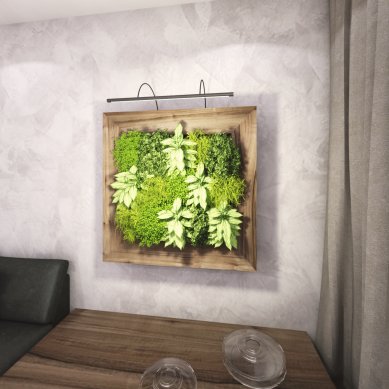 LivingArt obrazy – spojení umění a zeleně