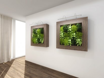 LivingArt obrazy – spojení umění a zeleně