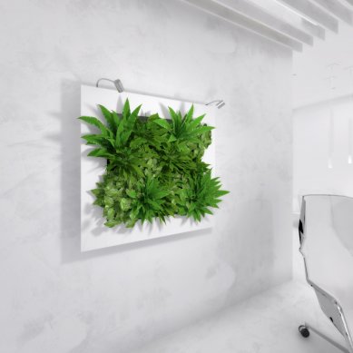 LivingArt obrazy – spojení umění a zeleně