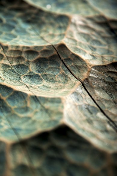 Cupak Design: handmade furniture with a distinctive character