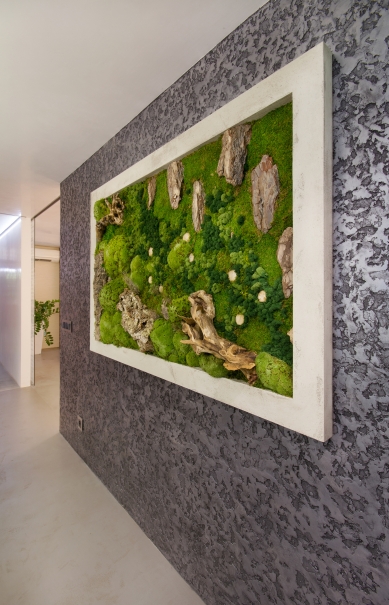 Mechové obrazy dopřejí vašemu interiéru harmonický kousek přírody