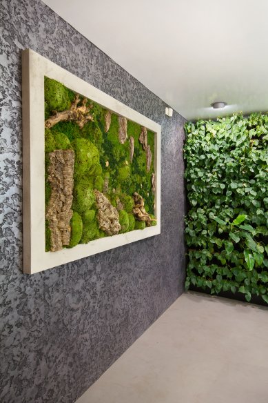 Mechové obrazy dopřejí vašemu interiéru harmonický kousek přírody
