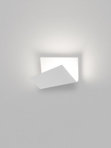 ANNUAL EDITION OF THE LIGHT BIBLE
