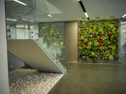 GreenBo's green walls will enliven and heal your interiors