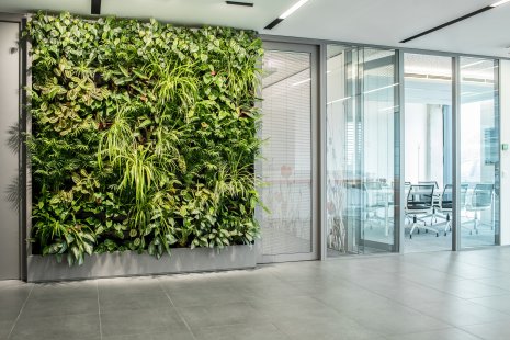 GreenBo's green walls will enliven and heal your interiors