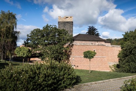 Czech brick saves Czech monuments