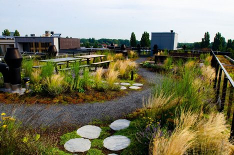 Blue-Green Roofs: When Building Design Takes Climate Change into Account