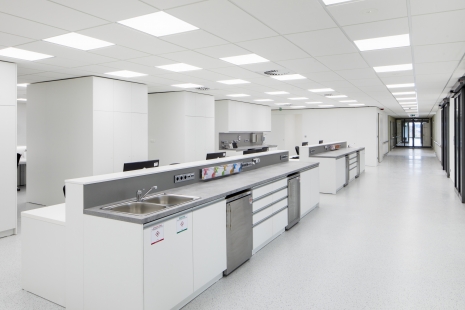 Silent heals. Acoustics in healthcare - Rudolf and Stefanie Hospital Benešov - foto: Tomáš Souček