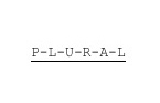 PLURAL