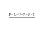 PLURAL